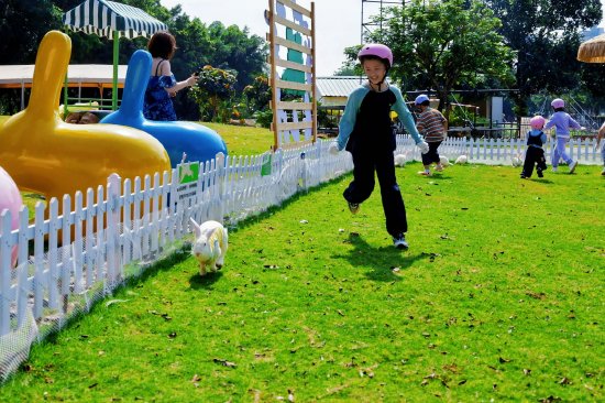 “萌兔认领营”活动