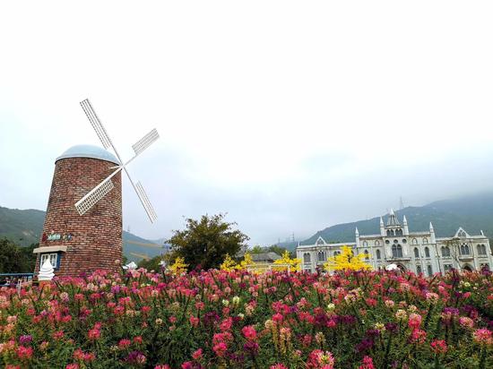 影视专家学者组团赴大鹏采风 为新区影视产业建言献策_新浪深圳_新浪