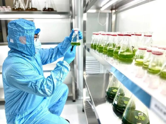 元育生物微藻制种洁净车间