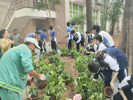 香蜜湖街道联合深圳高级中学打造“紫堡·农梦园”劳动实践基地项目
