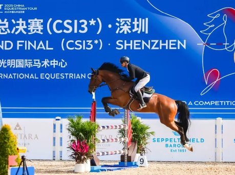 这场马术盛宴燃动深圳光明！