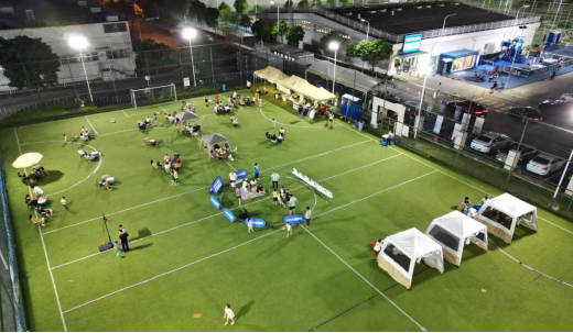 迪卡侬东莞“亲子趣动，活力同行”运动会