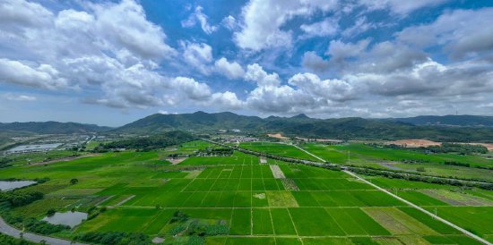 深汕特别合作区耕地