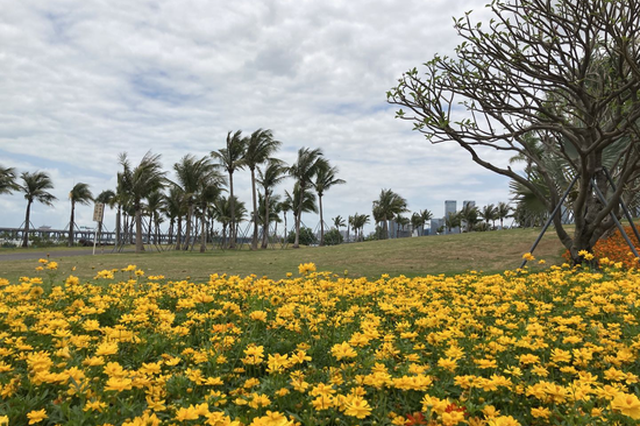 一海边打卡地风景虽美但不方便 前海海边公园请快建公厕