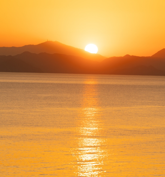 中信金沙湾“金沙夕照橘子海”