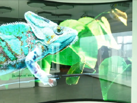 她在深圳造出世界最大“飞天屏” 