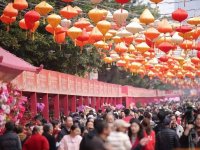 爱国路迎春花市要来了！