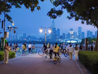 市民建议装灯被公园果断拒绝