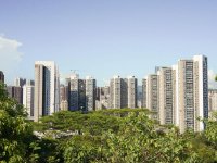 6月深圳楼市成交同比增长14.2%