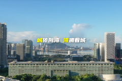 宝安领湾向未来，一切如你所见