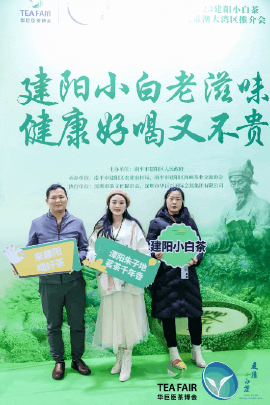 观众打卡建阳小白茶