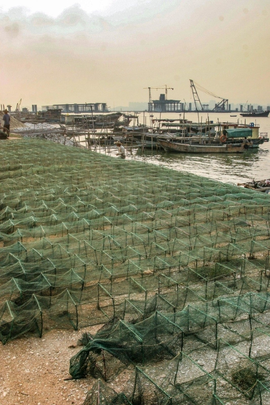 深圳后海，2005年