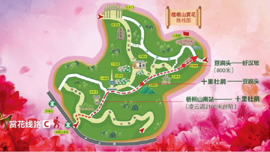 梧桐山南地铁站（凌云道）—十里杜鹃—豆腐头—好汉坡路线