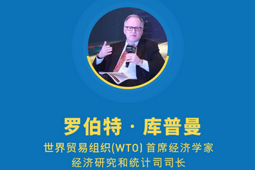 世界贸易组织（WTO）首席经济学家经济研究和统计司司长罗伯特·库普曼