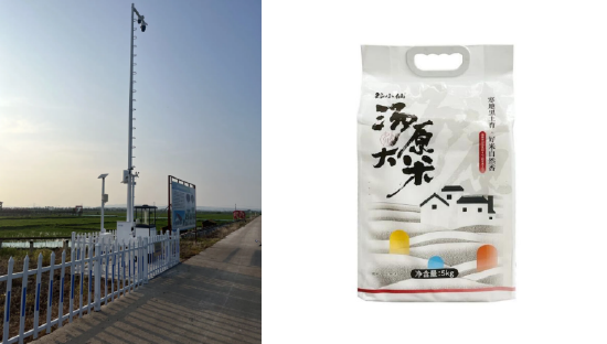 “谷小仙”汤原大米案例图