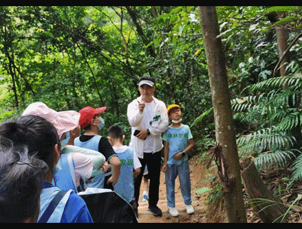 小朋友们走进大顶岭郊野径开启森林发现之旅