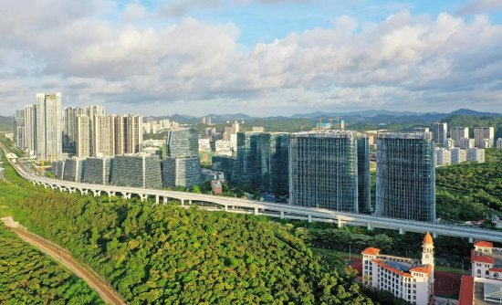 留仙大道沿线形成机器人谷。图源:深圳商报