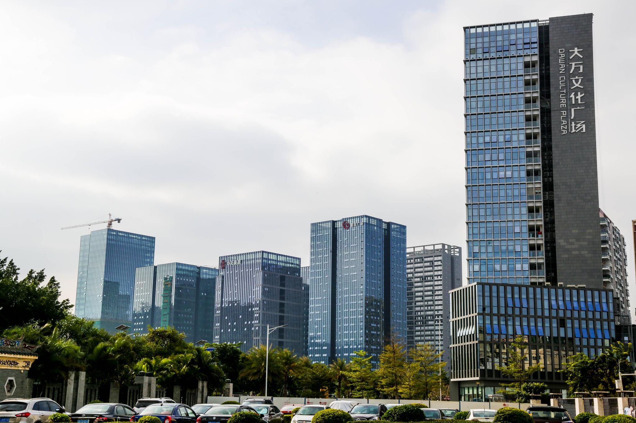 为了记录坪山区波澜壮阔的发展历程,展现出城区的发展变化,特别组织