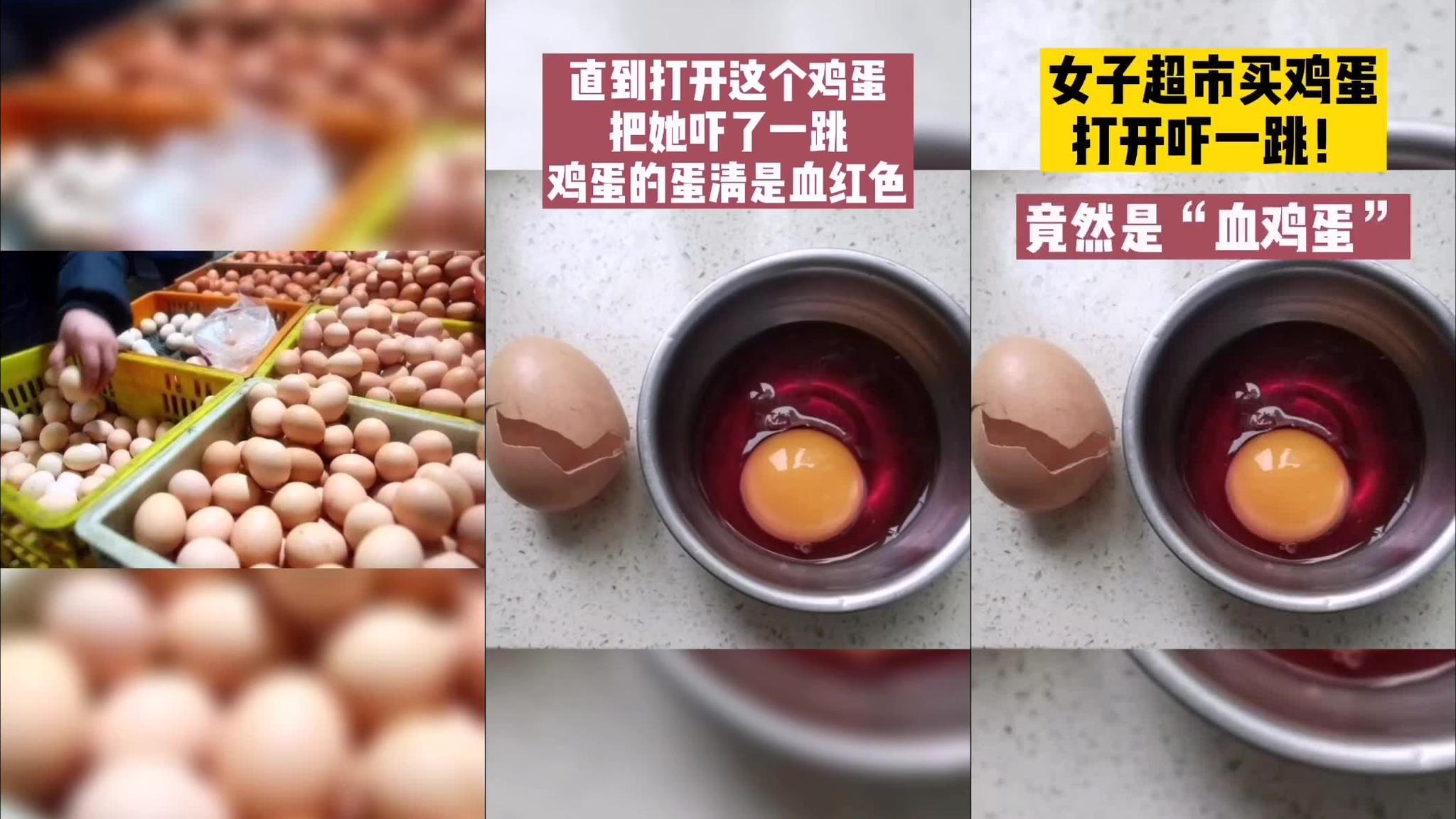 璀璨人生:刘小慧用一浴缸的鸡蛋来练习打鸡蛋,爱情的力量无穷尽