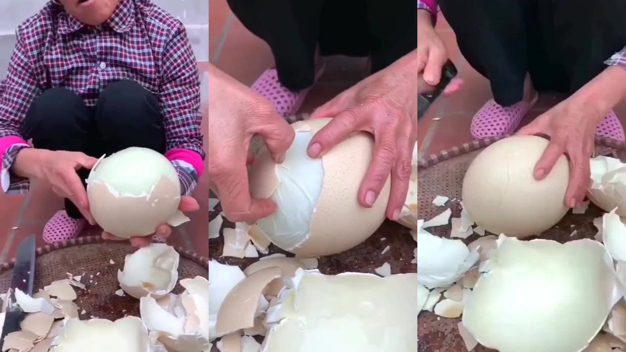 听说骆驼蛋补身体,婆婆就买来给我吃,剥开后我傻眼了!