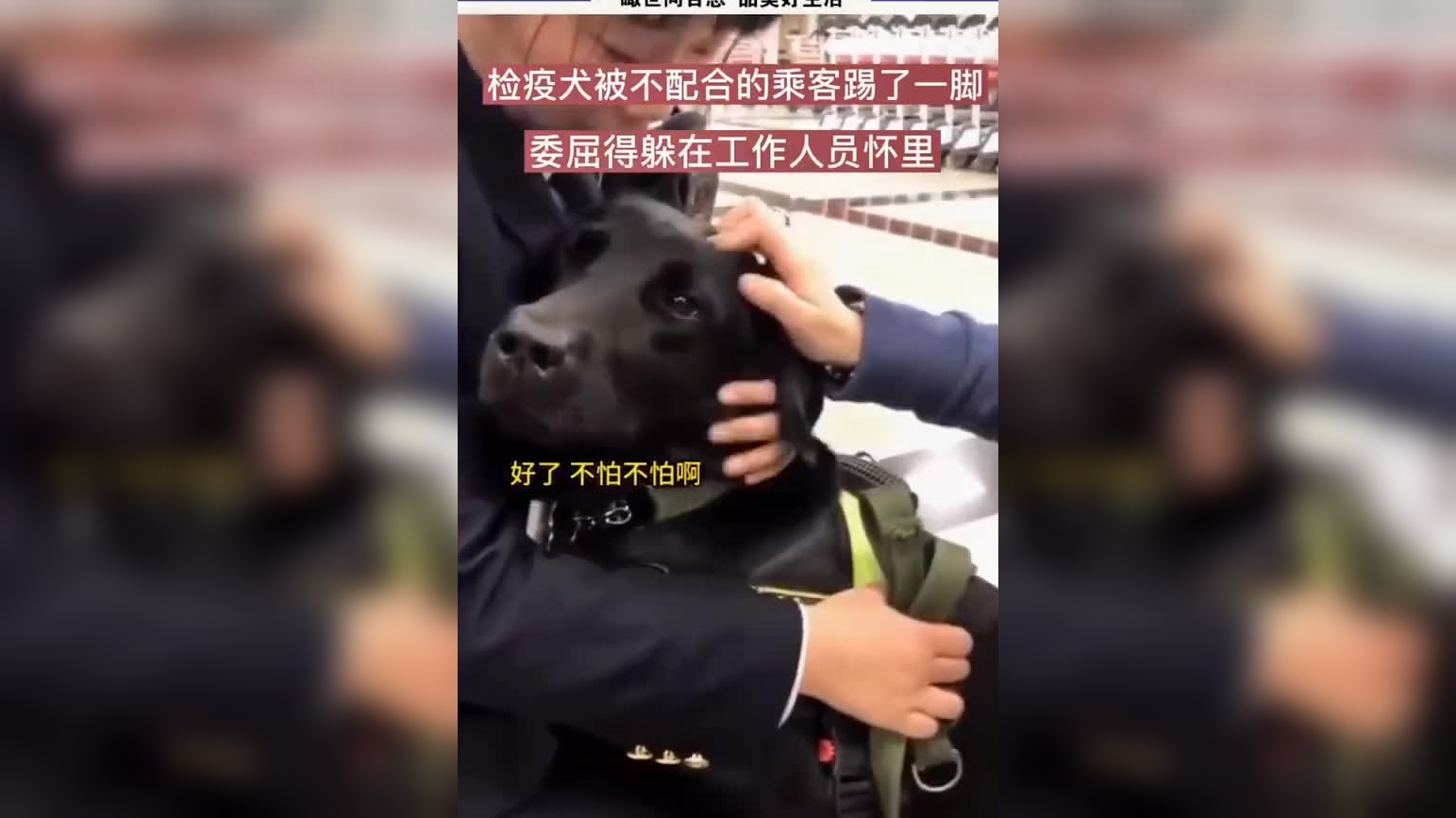 亚当熊 看门狗2我是警察第一天:吃个早饭的功夫就破了个案子!