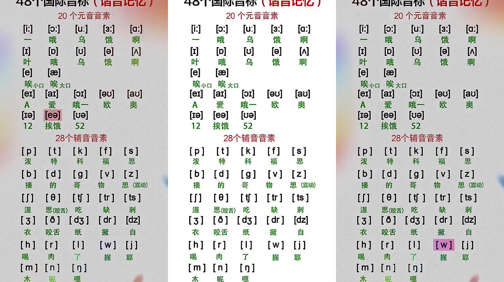 栗子说英语:国际音标清辅音 [t]的发音规律
