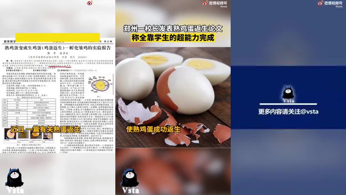 视频|"熟蛋返生"论文登省级期刊 律师分析背后蹊跷_手机新浪网
