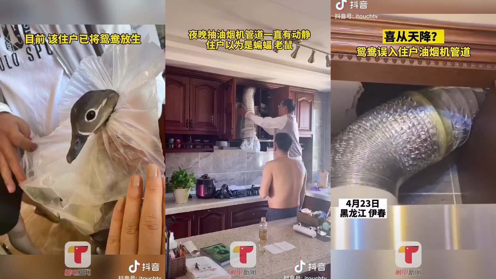 黑龙江望奎发现复阳病例?当地疾控: 正排查!为可疑样本,已送检