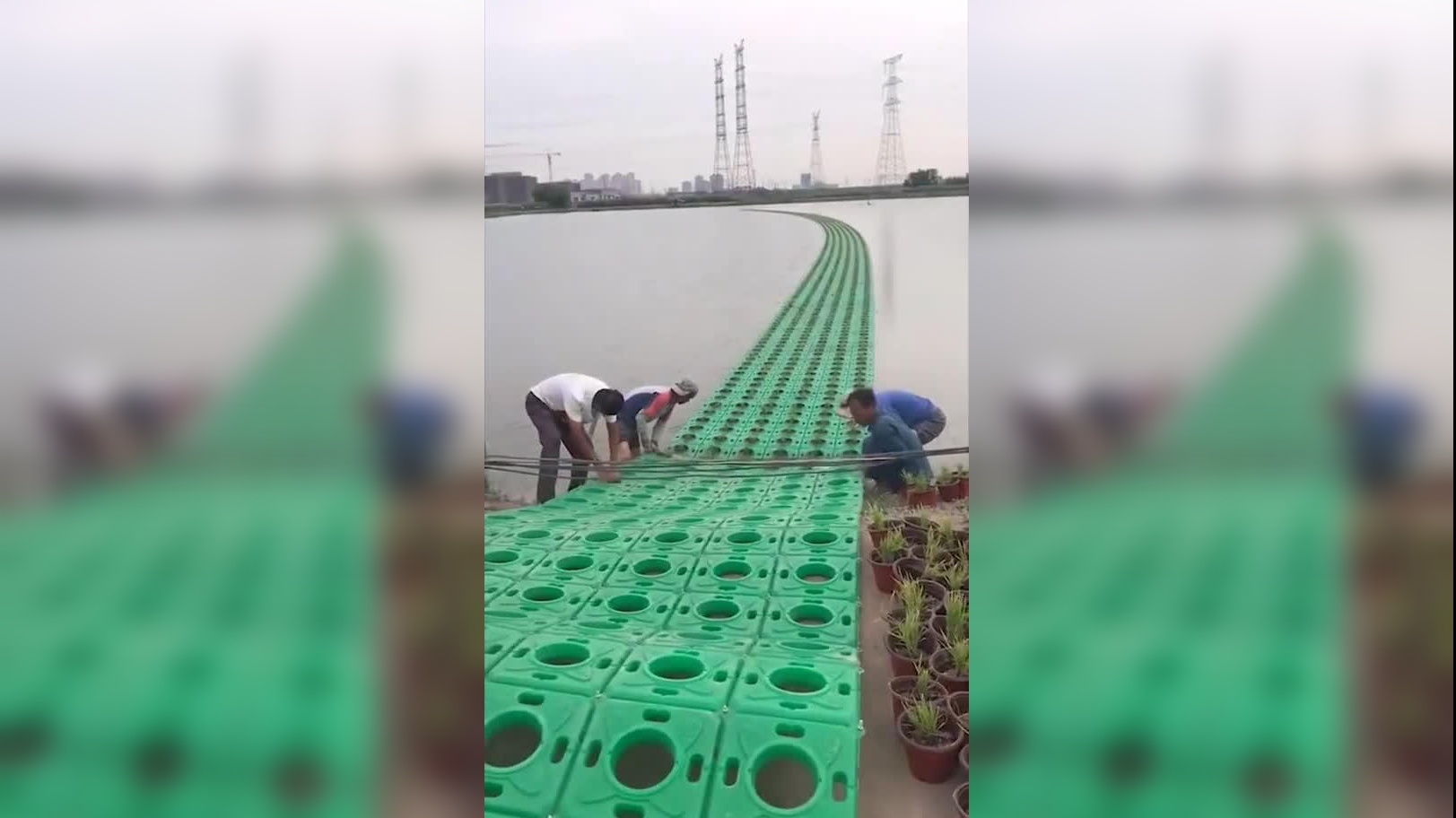 小伙养鱼扩大规模,用4个油桶做浮桥,简单方便又耐用