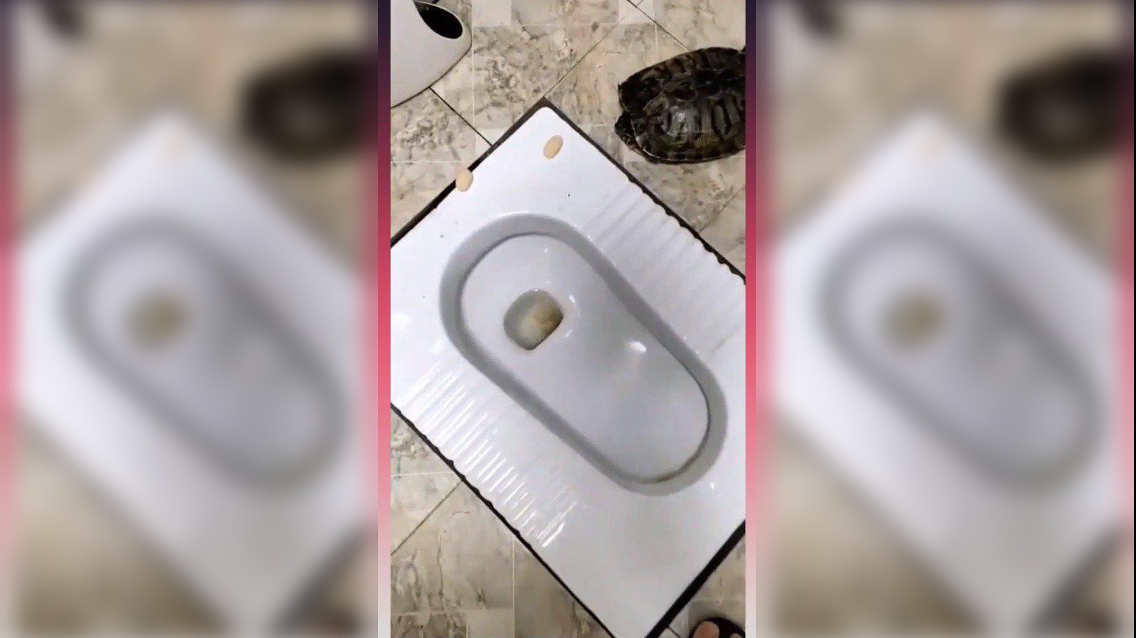 绝命航班,小伙和空姐进了卫生间,这是要做什么呢!