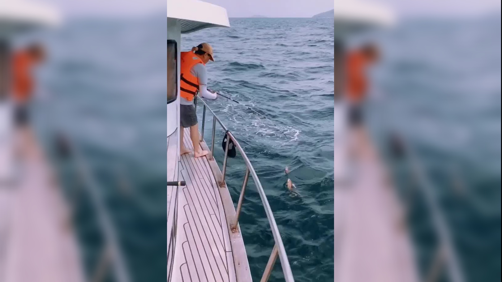 天呐焉栩嘉和小盒鱼疑似复合,前前后后这也太刺激了吧