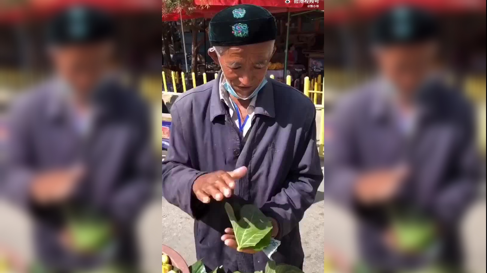 王树带新疆女友看牡丹,王树:你和牡丹花一样漂亮,小娜竟然翻脸