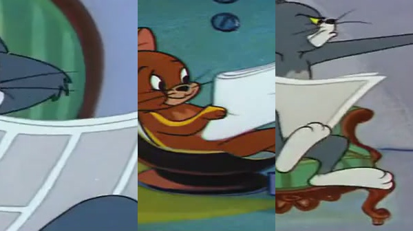 如今这年头啊,猫和老鼠都成精了,都学会看报纸了!