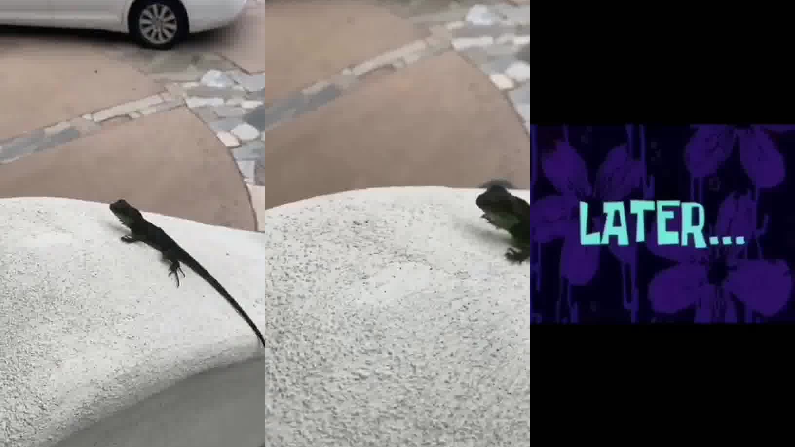 画皮-蜥蜴精处处帮着小唯,没想到换来的却是这种态度