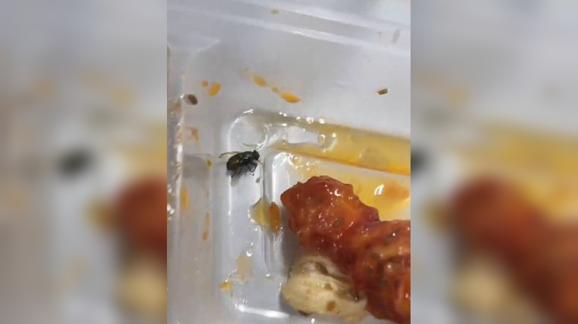 "油炸苍蝇"你听说过吗?