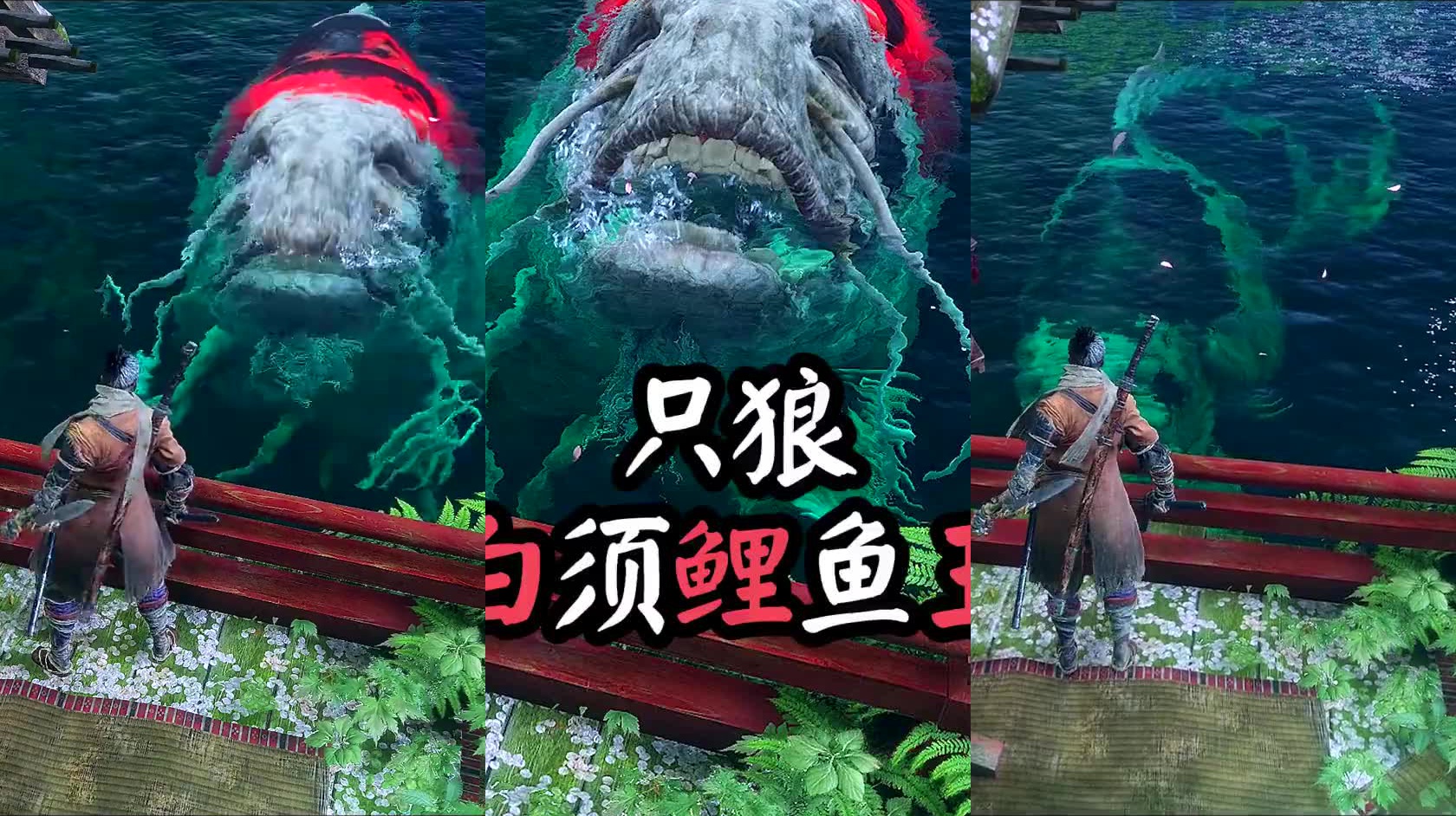 白须鱼王,传说吃了它的肉可以永生不死!