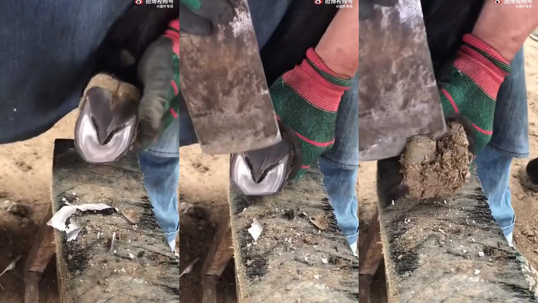 修马脚看完太舒适了