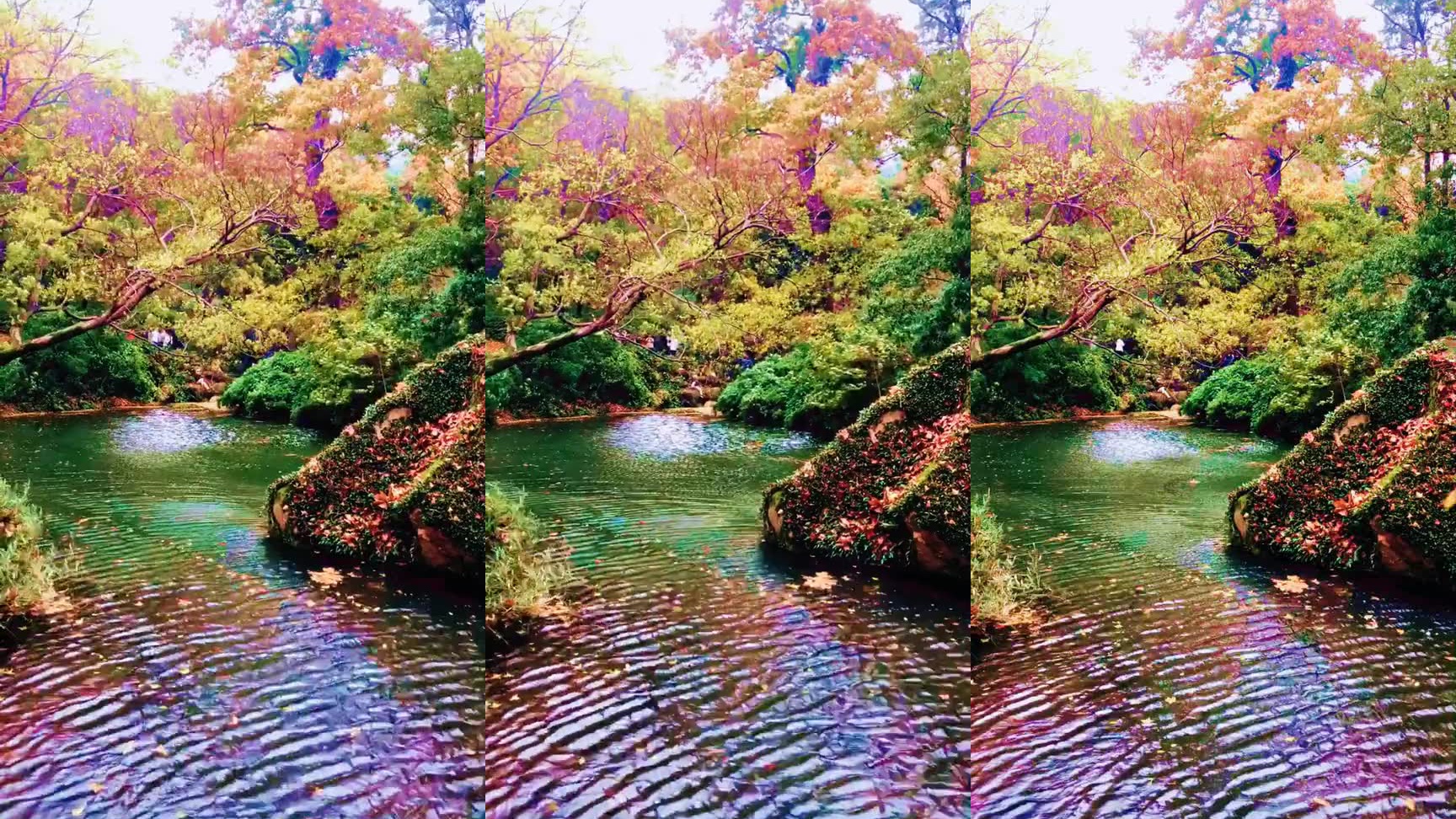 叶落长安:莲花8岁了想上学,爸爸心软同意,谁料妈妈就是不同意