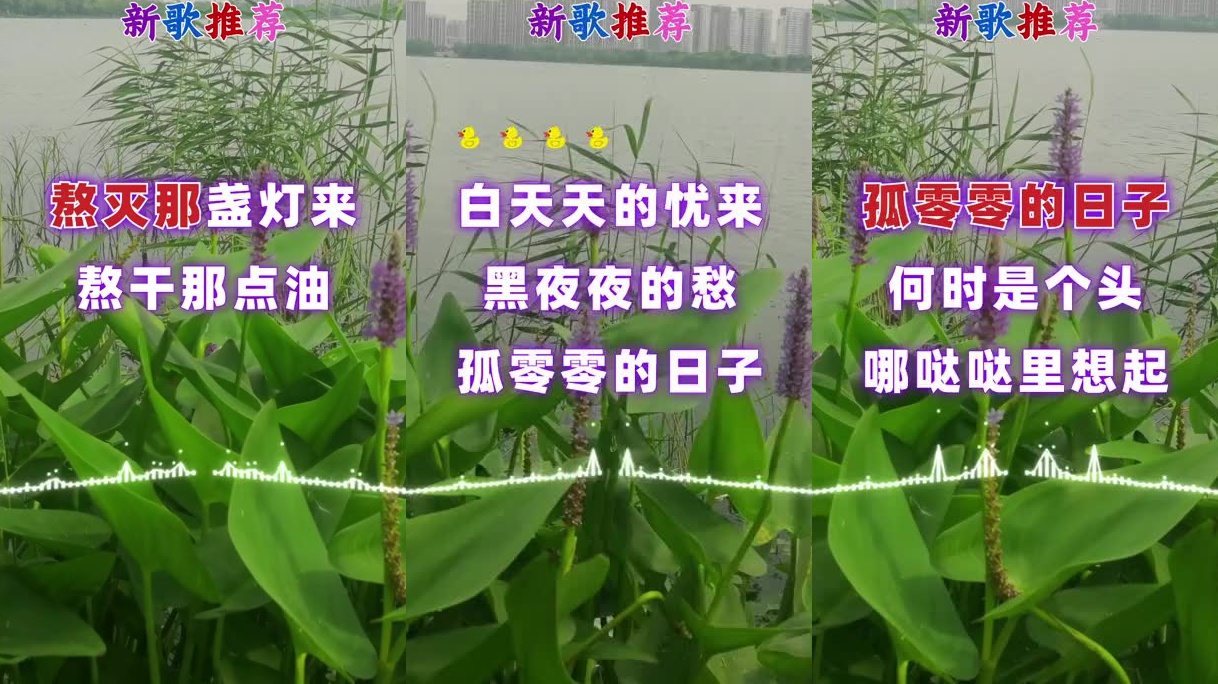 推荐一首《丫蛋蛋(马启涵)_沈虫虫-雪落下的声音 》特别好听