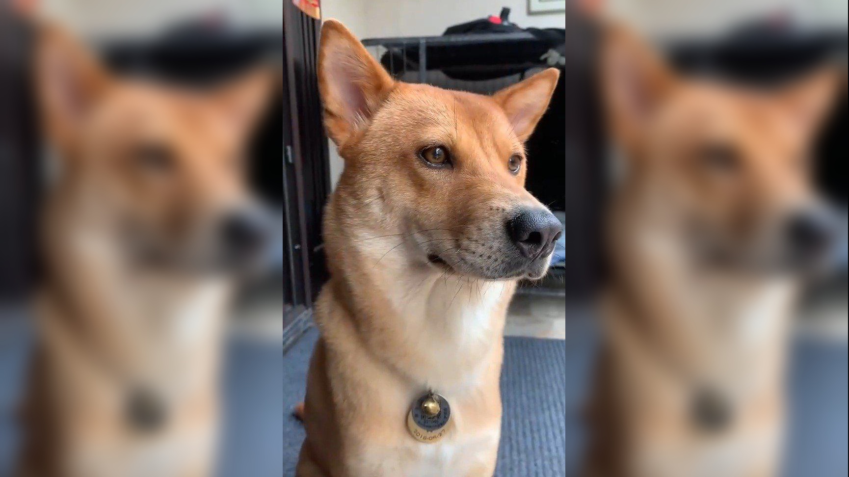 真怀疑阿爆是只水猴,大水池游一圈气都不喘,出浴立马找渣白炫耀