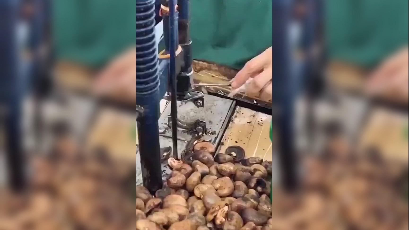 腰果很好吃,但你知道剥腰果的人要受多大罪吗?过程特别"残忍"