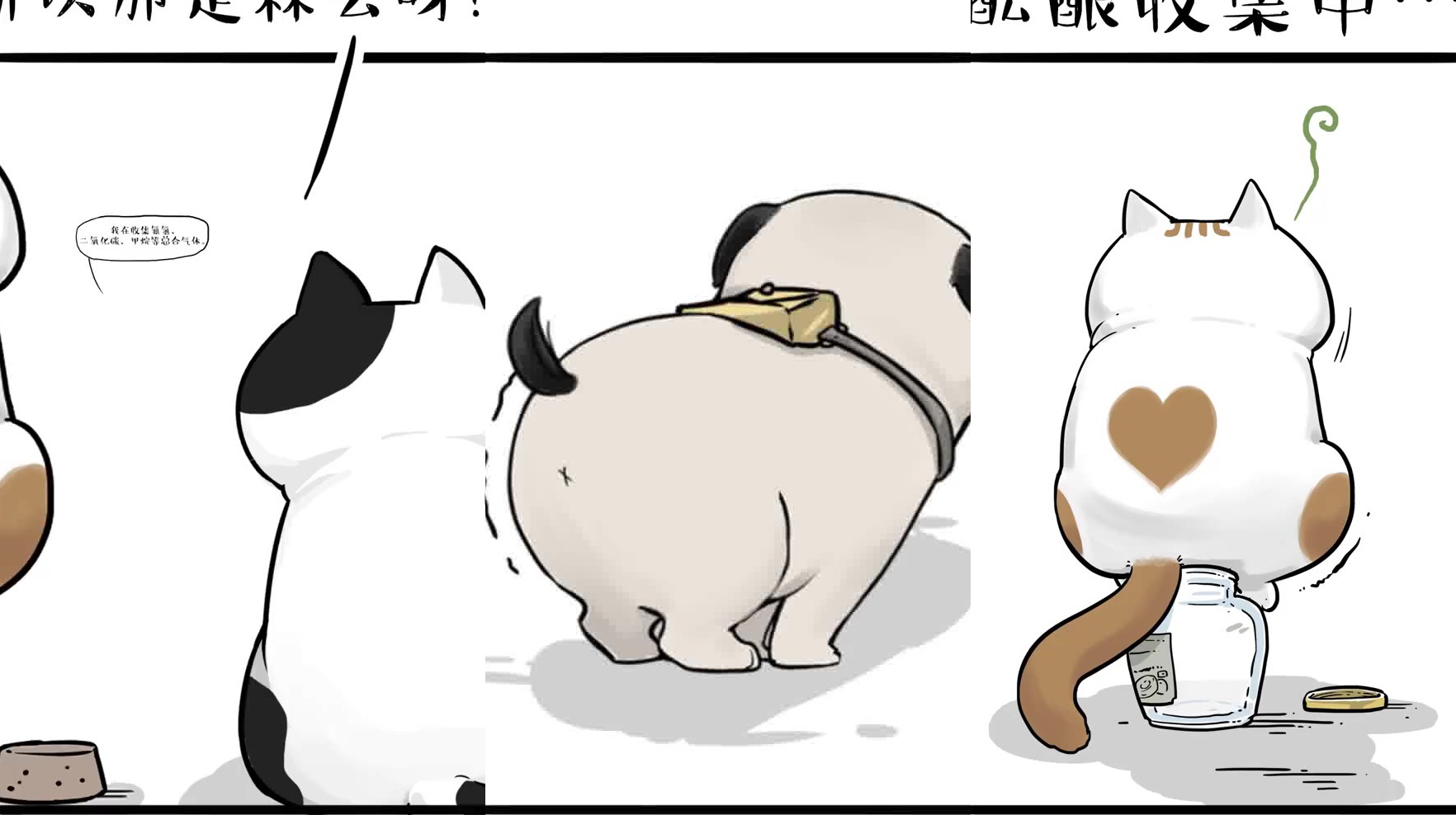 对付巴扎黑的拐弯屁,就得用猫猫秘制绿空气 .