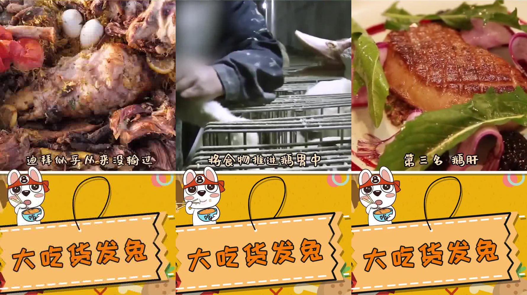 迪拜的烤骆驼大餐,让你吃到酣畅淋漓