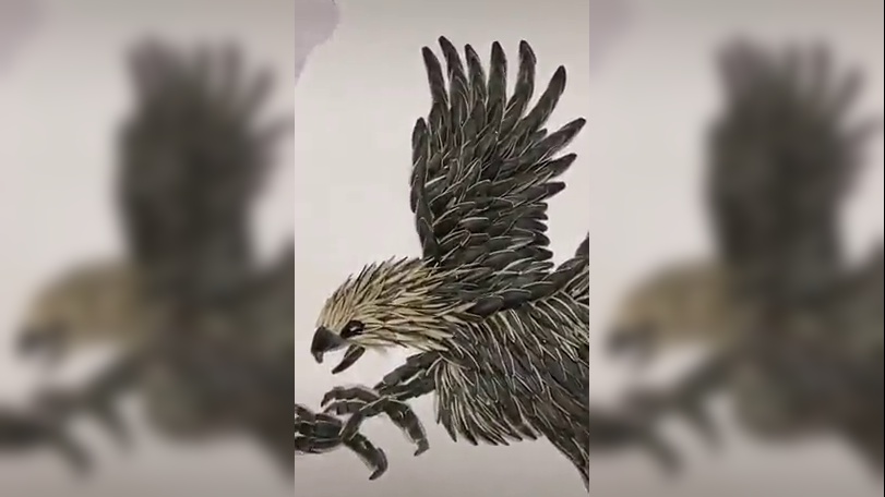 这是高手,竟然用瓜子摆出了一只老鹰,属实厉害