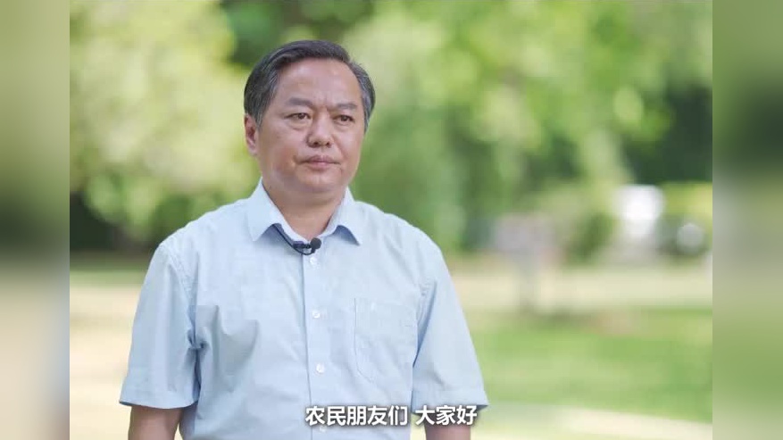 "风雨"一把手丨海曙区委书记褚孟形:这事一定要争先创优,走在前列