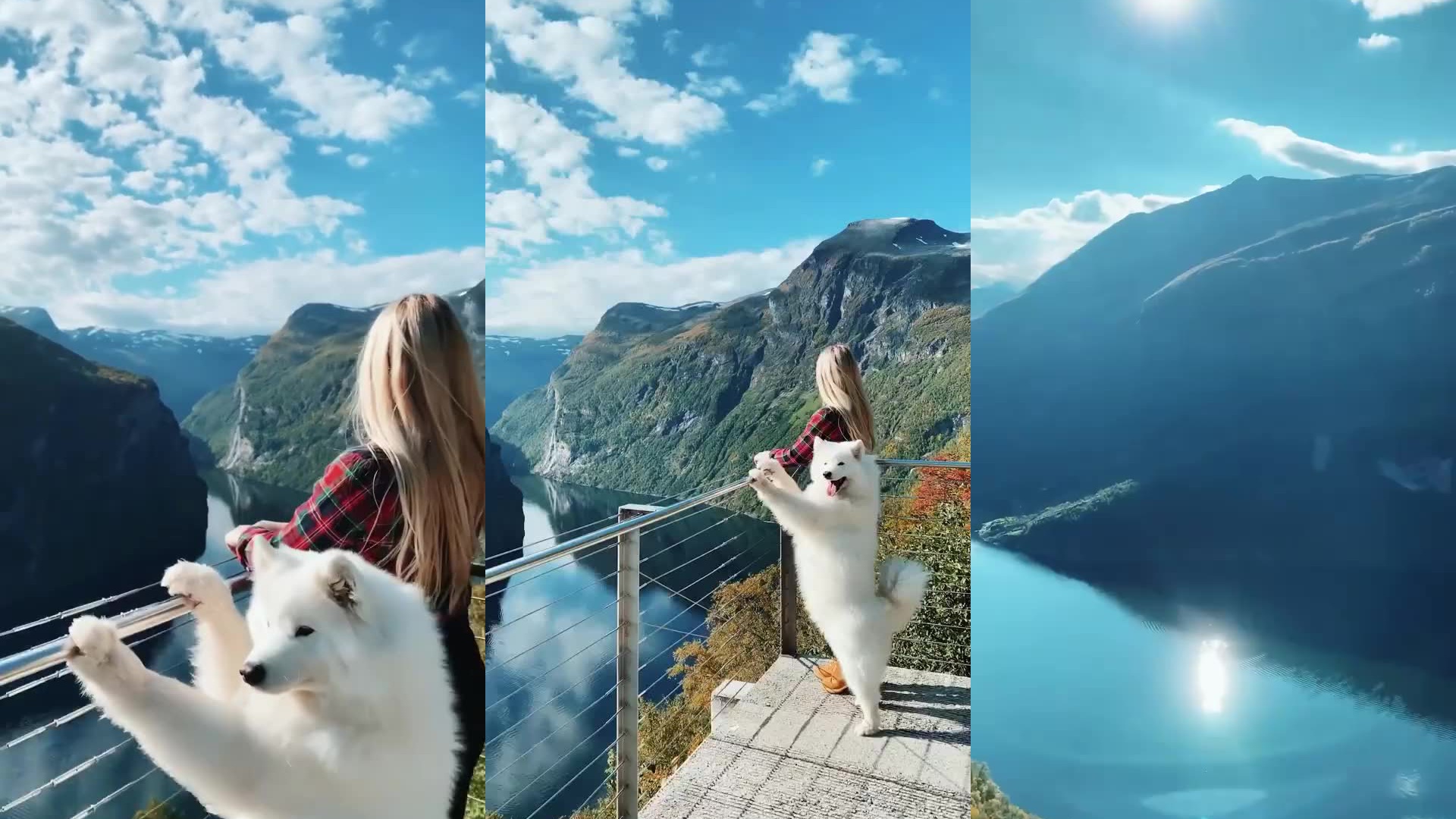 ted - 世界各地的神话故事 - 阿拉克涅的传说