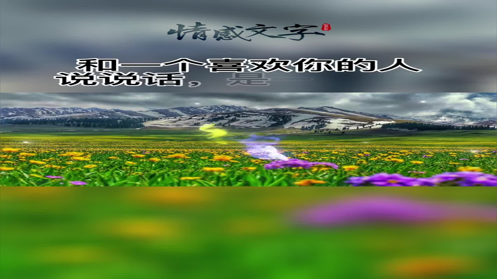 感恩我爱的人和爱我的人