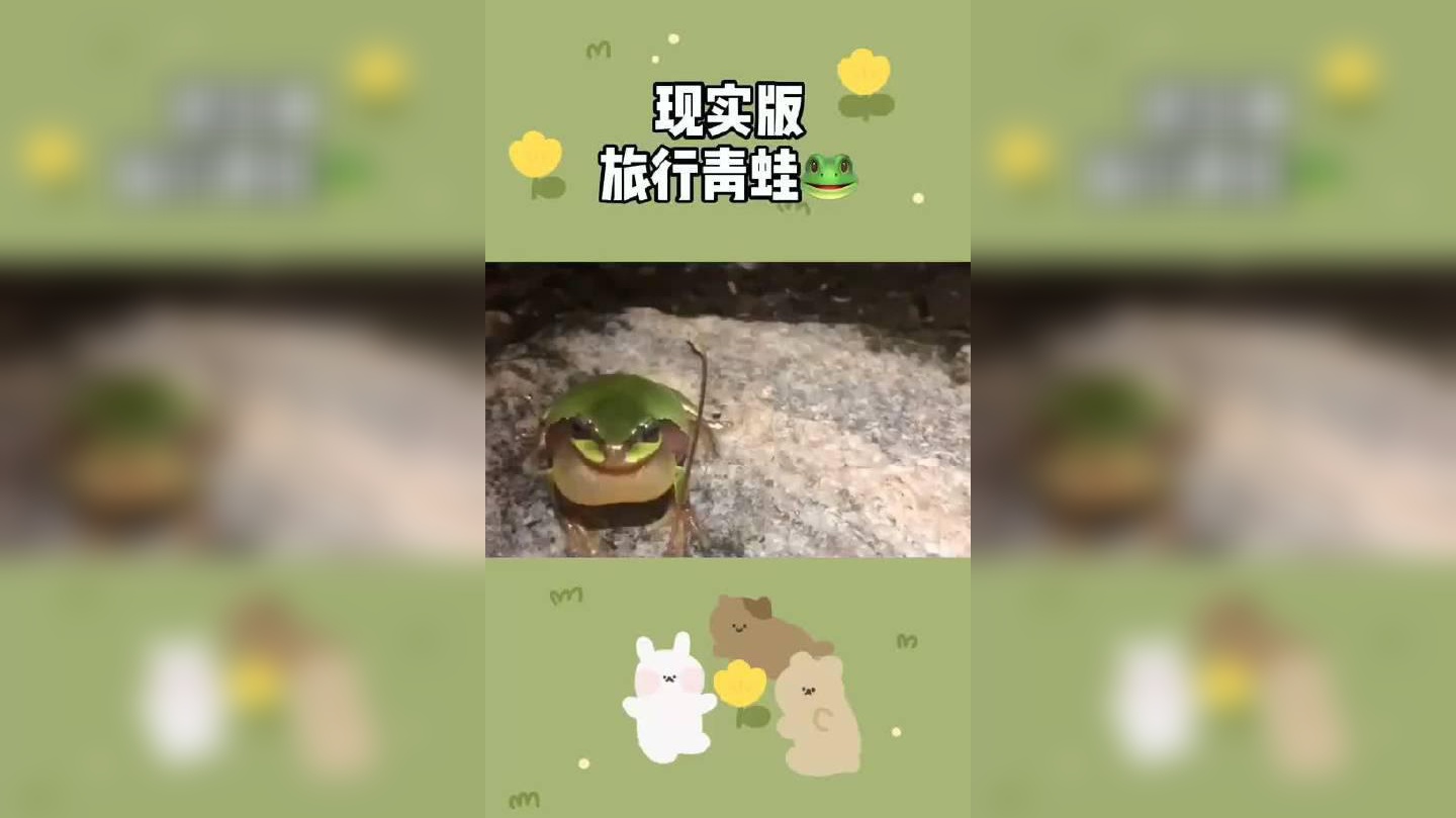 小哥哥打卡日月潭,探寻神秘青蛙石像,青蛙数量原来是隐藏彩蛋