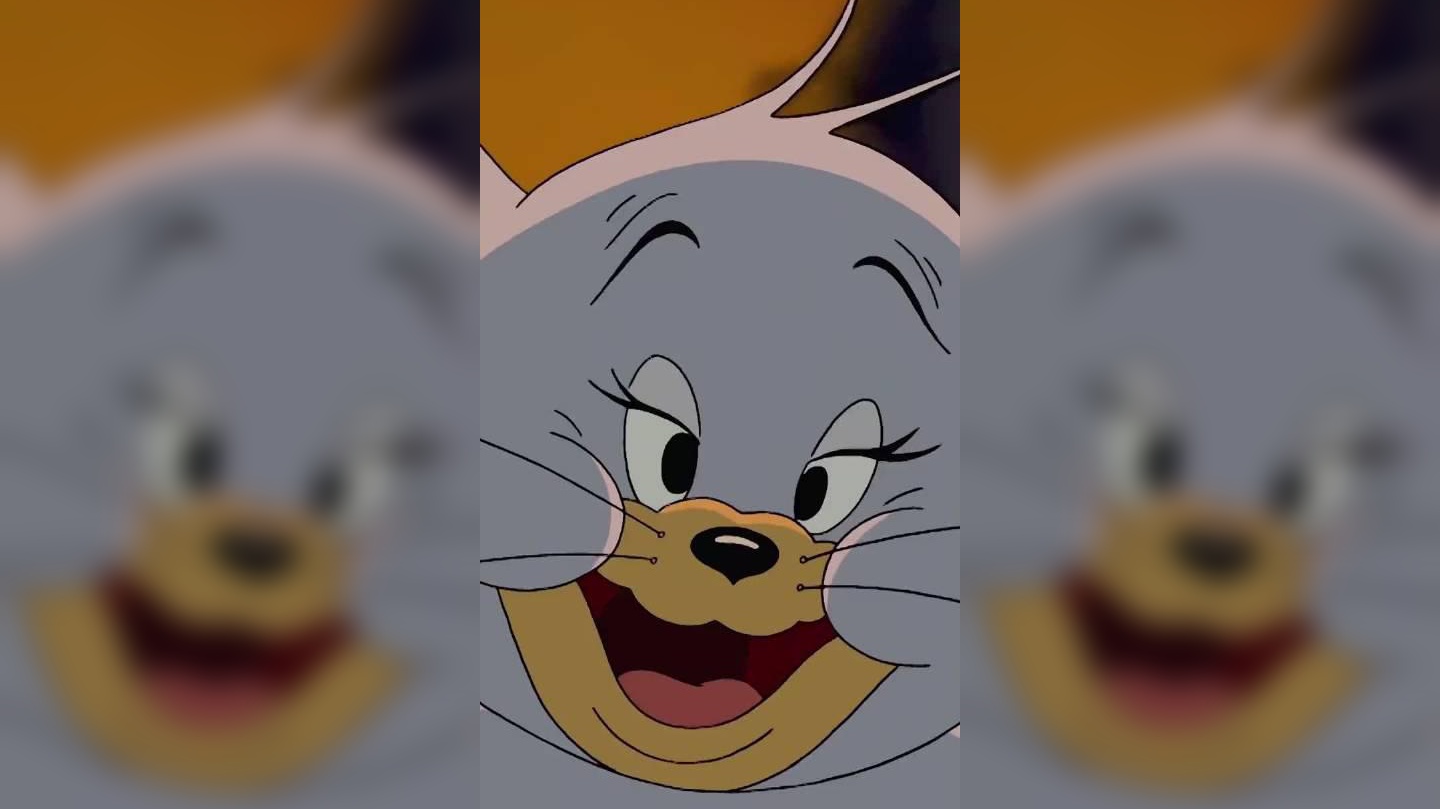 北方汤姆 vs 南方泰菲