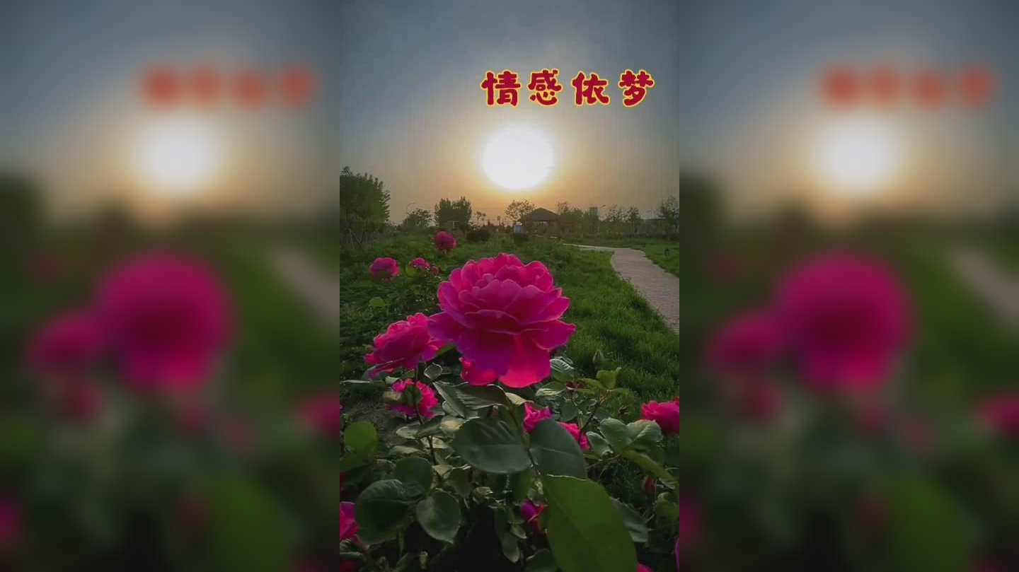 这年夏天,风遇见云